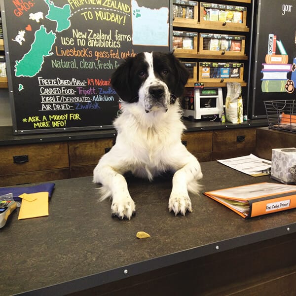 Mud bay shop pet supply